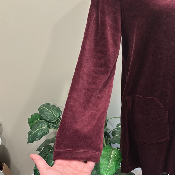 J. Jill Pure Jill Burgundy Velour Long Sleeve Shift Dress with Pockets - Picture 5 of 10